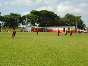 DSC08019