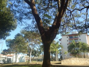 DSC01063