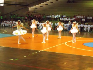 DSC02291