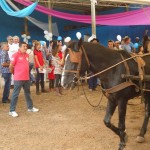 DSC02715