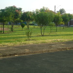 DSC03693