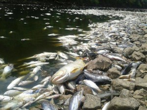 rio piracicaba 2