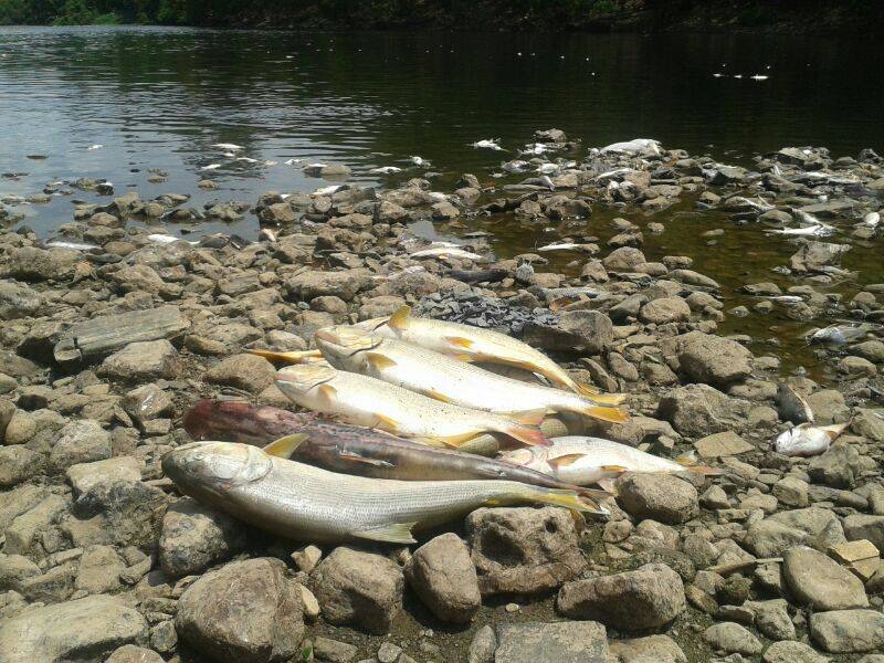 rio piracicaba1