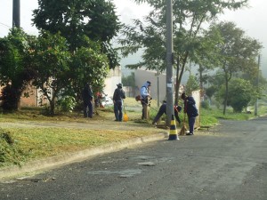 roçagem e limpeza mãe preta    DSC04693