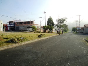 roçagem e limpeza mãe preta DSC04694