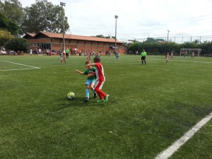seme 9.0 floridiana