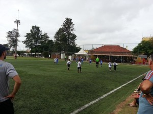 seme sub 9 floridiana 3