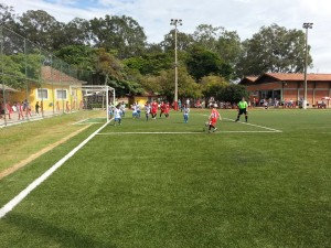 seme sub 9 floridiana