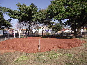 DSCF8538