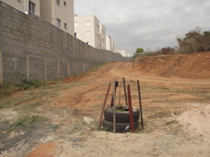 DSCF8580