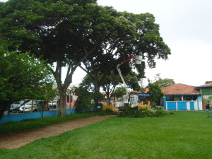 DSC07250