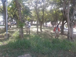 JARDIM BANDEIRANTE MAIO 2015 2