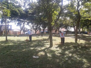 JARDIM BANDEIRANTE MAIO 2015 3