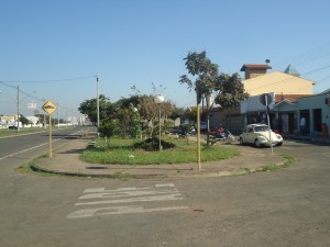 DSC08198