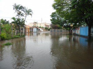 DSC05220