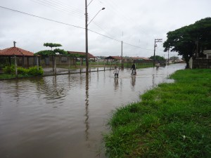 DSC05229
